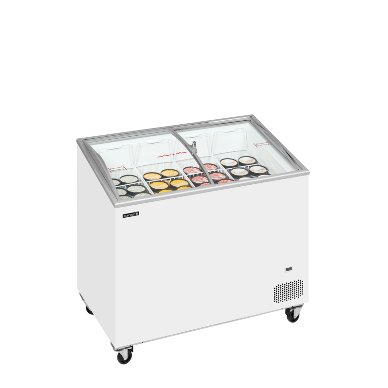 IC301SCEB 2